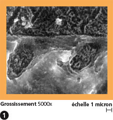 alloybond4_fr.jpg