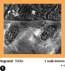 alloybond14_it.jpg