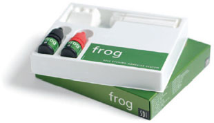 frog31_en.jpg