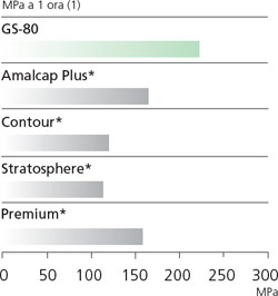 gs802_it.jpg