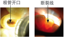 radiiplus7_cn.jpg