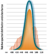 Radii_plus14_en.jpg