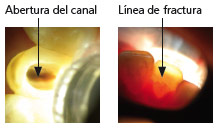 radiiplus7_es.jpg