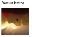 radiiplus8_es.jpg