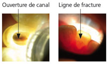 radiiplus7_fr.jpg