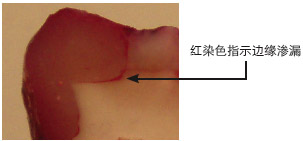 riva_sc10_cn.jpg