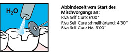 rivaSCin8_en.jpg