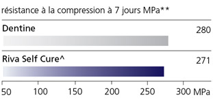 rivaSCN2_fr.jpg