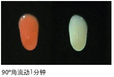 rivaprotect3_cn.jpg
