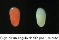 rivaprotect3_es.jpg