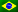 Brazilian Flag