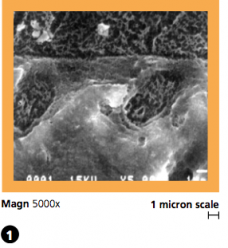 Screen Shot 2017-02-21 at 4.41.58 PM Screen Shot 2017-02-21 at 4.41.58 PM