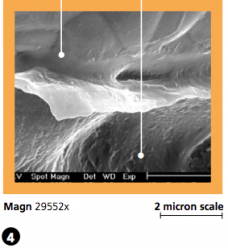 Screen Shot 2017-02-21 at 4.59.14 PM Screen Shot 2017-02-21 at 4.59.14 PM