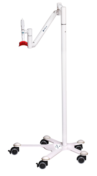pola whitening stand